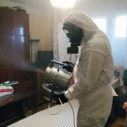 Дезинфекция от клопов в Семиозерье