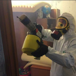 Уничтожение клопов в квартире. Семиозерье